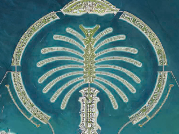 The beach and coral collection-10